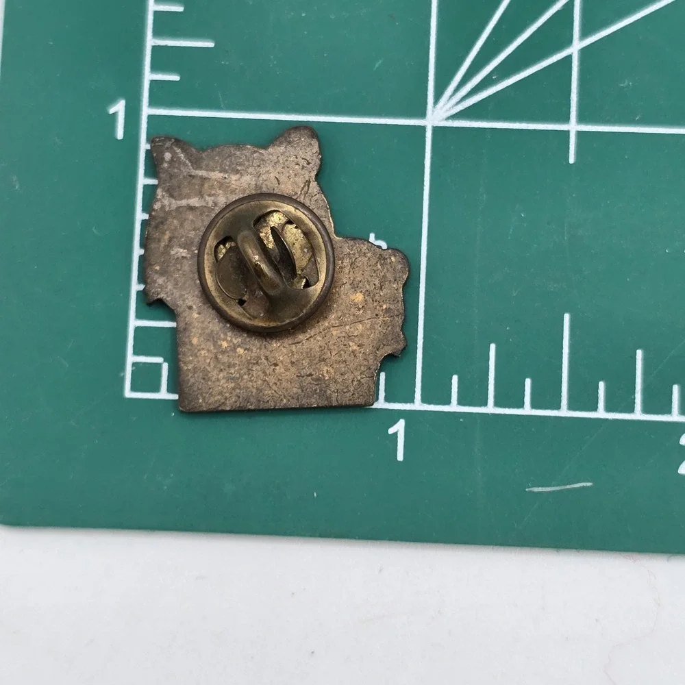 Boy Scouts of America‎ BSA Tiger Cubs Lapel Pin Vtg